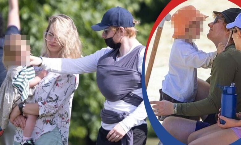 Lyra Antarctica Seaborn Sheeran