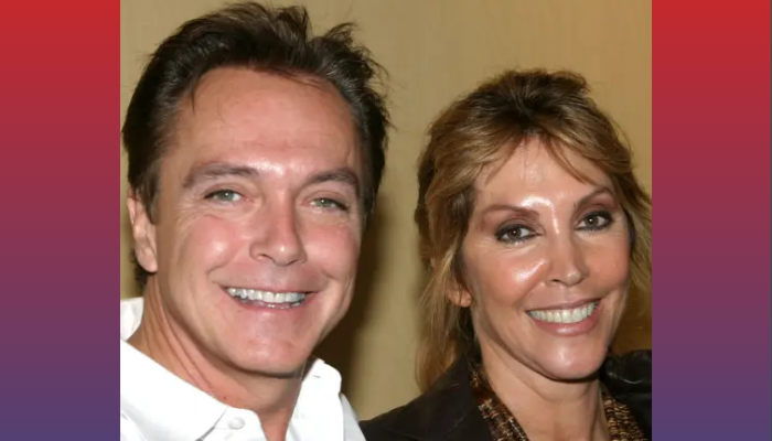 Sue Shifrin and David Cassidy’s Love Story, Marriage, and Divorce