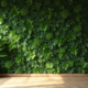 Artificial Plant Wall Installation Services