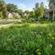 Lawn