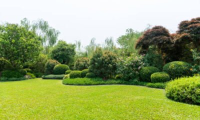Front or Back Yard, Lawn, Mowing, Formal Garden, House