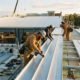 Metal Roof Manufacturer