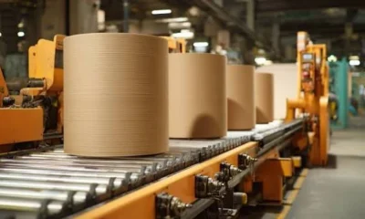 Digital Planning Tools Still Need Physical Carton Machine Limits