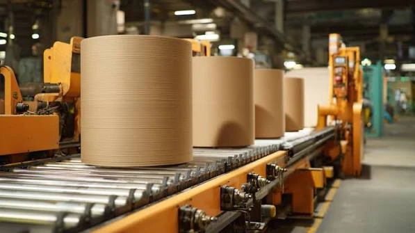 Digital Planning Tools Still Need Physical Carton Machine Limits