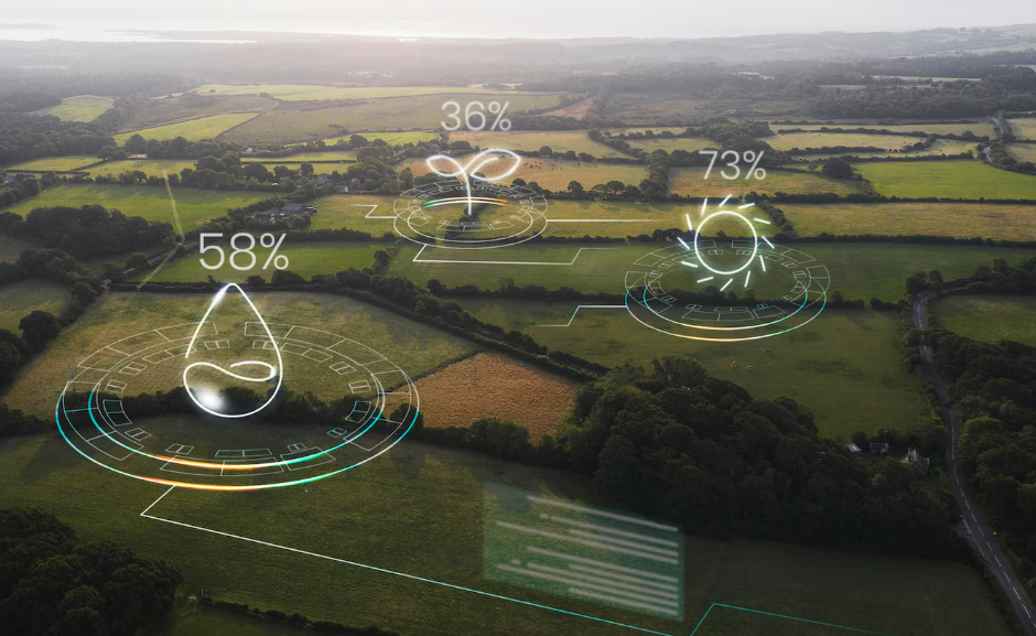 Fuel Sustainable, Double-Digit Growth with 7 Best Practices