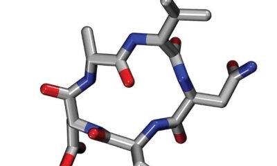 peptide