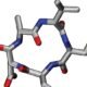 peptide